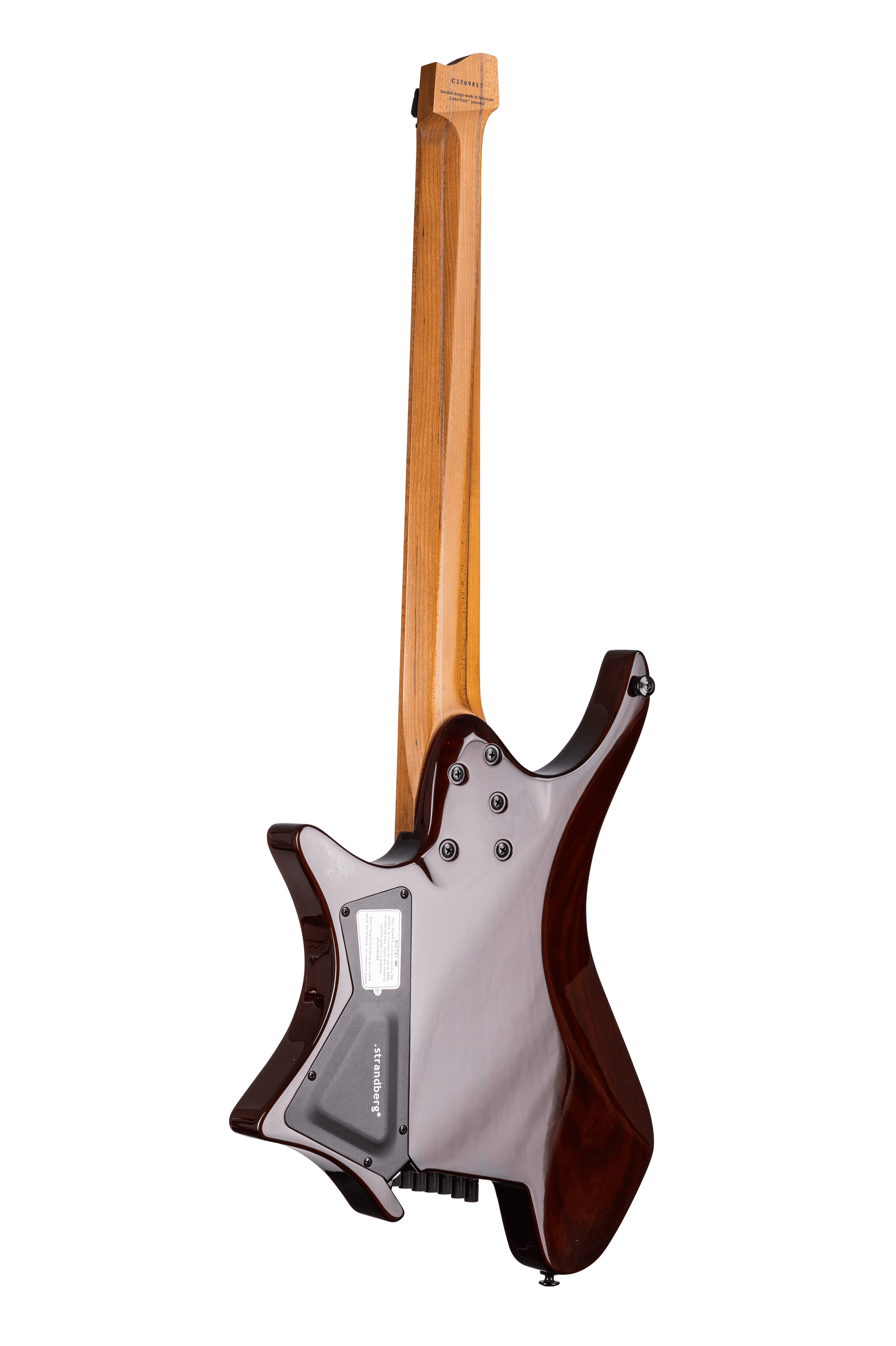 strandberg* Guitars