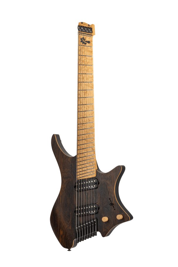 8 string guitar with tremolo on sale